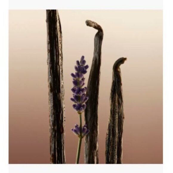 Burberry Goddess Body Lotion, Floral, Lavender, Vanilla, NEW - 1.0 oz. 30 ml. - Picture 6 of 11